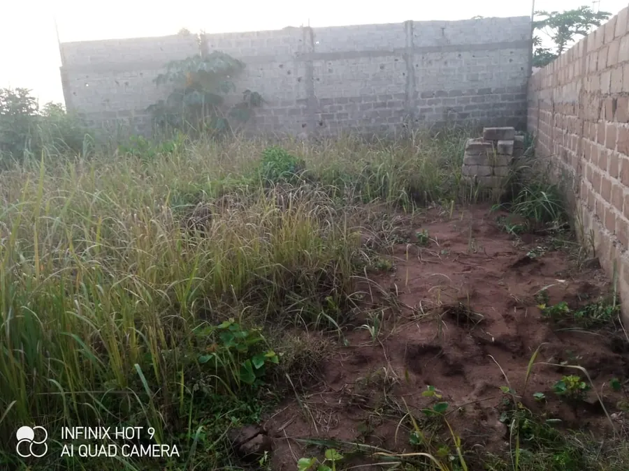 Terrain d'un quart de lot à vendre au quartier lycée de Kpala – 5 millions FCFA