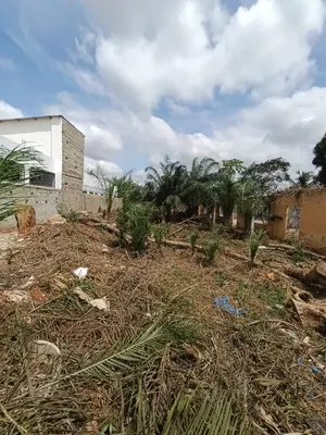 Vente d'un terrain à Agoè Démakpoè, 710 m², à 40 mètres du goudron – 55 000 000 FCFA — photo 2