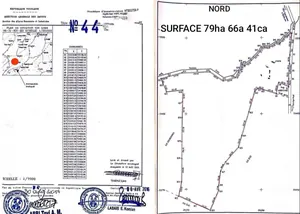Terrain de 79,50 hectares à vendre à Vakpo Adjakpa Adjaklo Kopé (Agou 2) – 2 millions FCFA l'unité