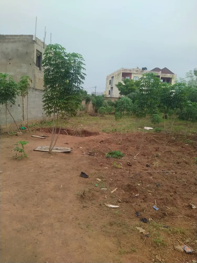 Terrain 500 m² en vente à Sanguéra derrière la Mairie – 14 000 000 FCFA