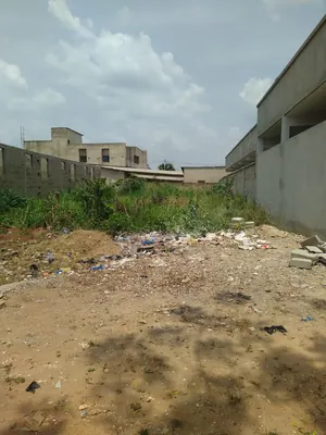 Terrain demi-lot 300 m² en vente à Apessito – 8,5 millions FCFA — photo 2