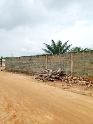 Terrain 1 lot de 600 m² clôturé à vendre à Agoè Légbassito près de la mairie – 27 millions FCFA — photo 1