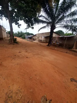 Vente d'un terrain à Sagbado Balissimé, demi-lot de 300 m² – 9 500 000 FCFA — photo 3