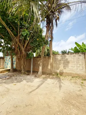 Terrain demi-lot 300 m² en vente à Légbassito Amadenta – 8 750 000 FCFA — photo 1