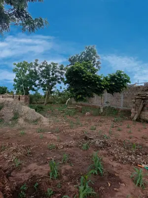 Terrain demi-lot de 300 m² en vente à Aképé – 9 millions FCFA