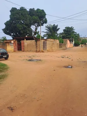 Terrain demi-lot 300 m² à vendre à Tokoin Habitat, angle de rue – 50 millions FCFA — photo 4