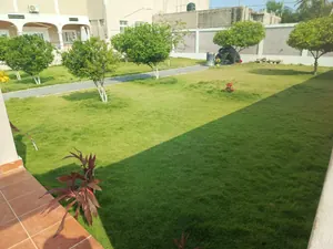Hôtel 25 chambres avec piscine et restaurant à vendre à Agbodrafo – 500 millions FCFA — photo 10