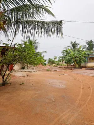 Terrain 340 m² en vente à Légbassito Kognito – 7,5 millions FCFA — photo 7