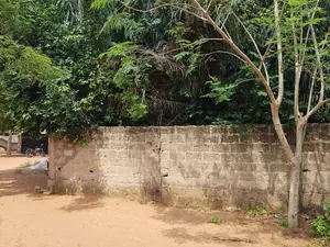 Terrain demi-lot en vente en angle de rue à Légbassito Madjikpeto – 12 500 000 FCFA — photo 5