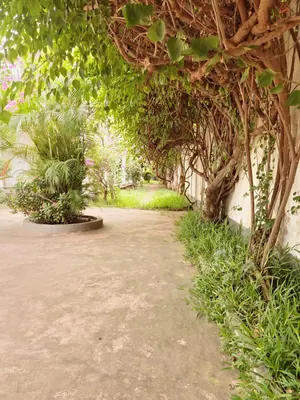 Vente d'une villa à Agoè Cacaveli, meublée avec piscine, 6 chambres sur 2 lots et demi – 350 millions FCFA — photo 7