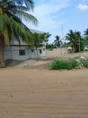 Vente de terrain à Legbassito Ahonkpoé, 2 lots collés, 1200 m², face à l'école primaire – 15 millions FCFA — photo 2