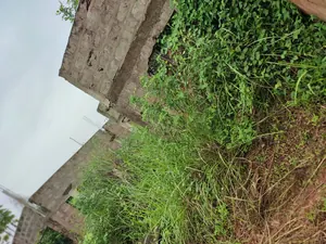 Terrain clôturé en vente à Segbé Carrefour Démé – 25 000 000 FCFA — photo 5