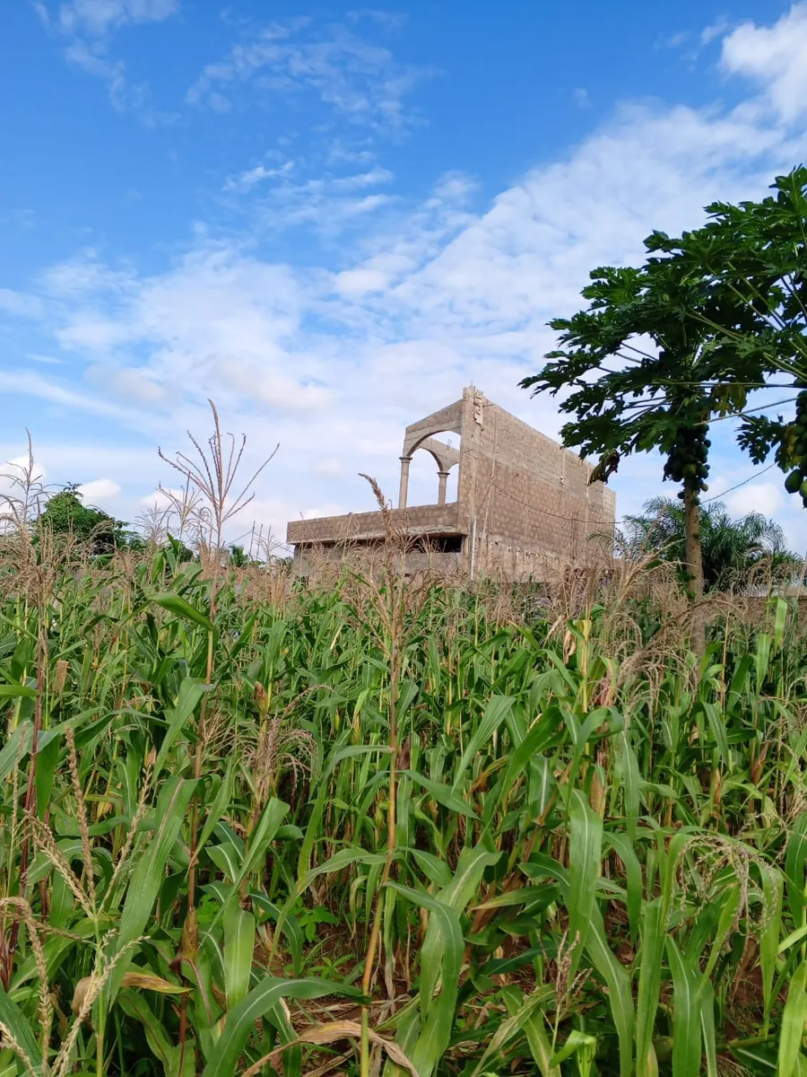 Terrain 2 lots à vendre à Apessito Gbezetsan – 13 millions FCFA le lot