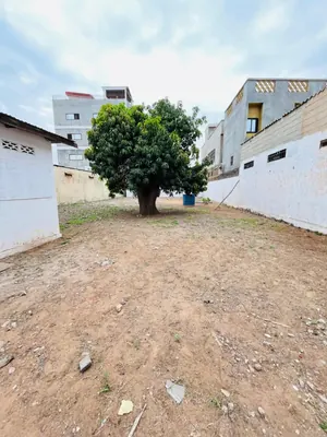 Terrain 1 lot à vendre à Nukafu, non loin de Somayaf – 85 millions FCFA à débattre — photo 3
