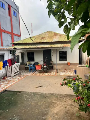 Terrain 450 m² à vendre en angle de rue à Assigamé Atikpodji – 120 millions FCFA — photo 2