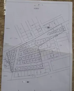 Vente de terrain à Pia, 4 hectares derrière la plateforme PIA, proche du goudron – prix par lot à confirmer — photo 5