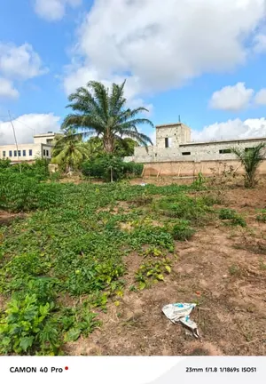 Terrain de 796 m² à vendre à Zanguera Wougomé – 25 millions FCFA — photo 2