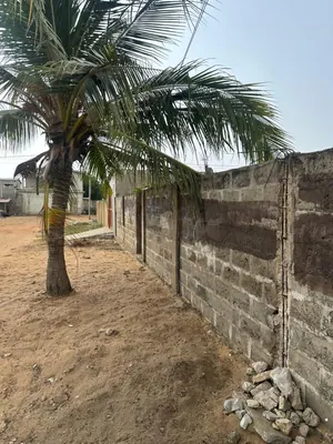 Terrain 1500 m² en vente à Baguida – 50 millions FCFA le lot — photo 3