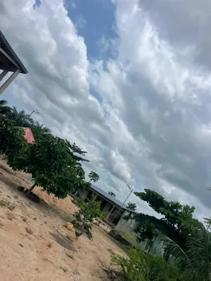Vente d'un terrain à Avépozo, demi-lot, proche du goudron – 22 millions FCFA — photo 2