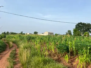 Terrain 579 m² en vente à Kovié Adidomé – à partir de 3 000 000 FCFA — photo 3
