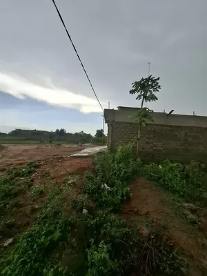 Terrain demi-lot de 300 m² en vente à Aképé Péage sur la déviation – 6,5 millions FCFA — photo 3