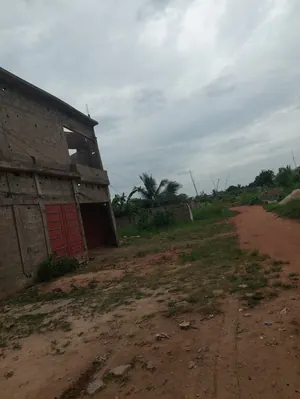 Terrain 300 m² en vente à Apessito Avanyakè – 7 millions FCFA — photo 3