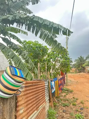 Terrain demi-lot en vente à Agoé Sogbossito – 15 millions FCFA — photo 5