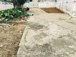 Terrain bâti 3 pièces 998 m² à vendre à Tokoin Super Taco – 60 millions FCFA — photo 3