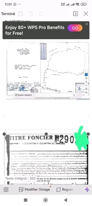 Vente d'un terrain rural à Kpalimé Village Agbessia, 11 hectares, avec titre foncier personnel – prix à partir de 3 500 000 FCFA l'hectare — photo 3