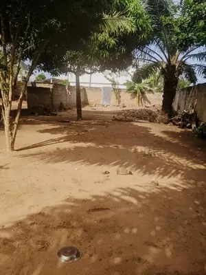 Terrain 900 m² en vente à Atilamonou Maison Blanche – 40 000 000 FCFA
