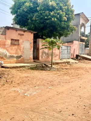 Terrain 1 lot en vente à Djidjolé avec accès goudron – 55 millions FCFA