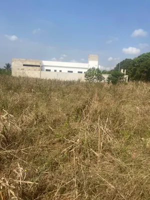 Terrain 2 lots 1200 m² en vente en bord du goudron à Aného – 11 millions FCFA le lot — photo 2