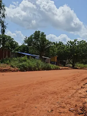 Terrain 384 m² en vente en bordure de goudron à Apéssito – 18 000 000 FCFA