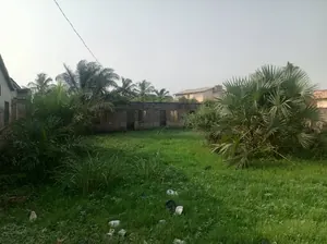 Terrain 1 lot de 600 m² à vendre à Agoè Zongo derrière le marché – 25 millions FCFA