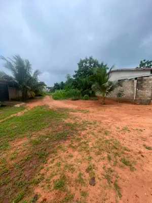 Terrain 150 m² en vente à Zanguera – 3 500 000 FCFA — photo 3