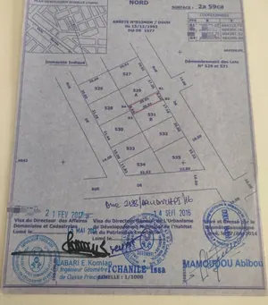 Terrain 259 m² en vente à Totsi Gblinkomé – 23 millions FCFA — photo 4