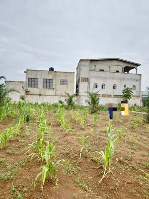 Terrain 563 m² en vente à Agoè-Légbassito Avinatato – 15 millions FCFA — photo 3