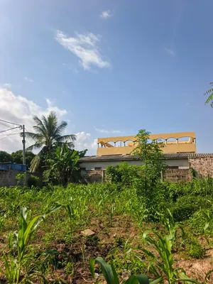 Terrain 397 m² en vente à Zanguera, vue directe sur le goudron route Lomé-Kpalimé – 25 millions FCFA — photo 2