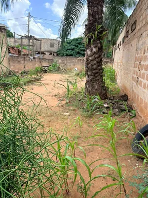 Terrain demi-lot clôturé en vente à Totsi Gblinkome – 25 millions FCFA