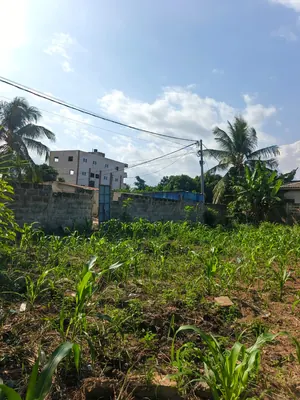 Terrain 397 m² en vente à Zanguera, vue directe sur le goudron route Lomé-Kpalimé – 25 millions FCFA — photo 5