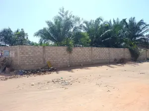 Terrain en vente à Zossimé – 33 millions FCFA — photo 4