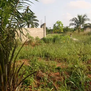 Terrain 150 m² à vendre à Apessito Avenyakè – 3 millions FCFA — photo 2