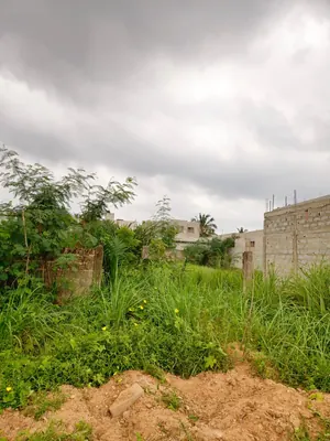 Terrain 1 lot en vente à Agoè Sogbossito face grande route de 30m – 27 millions FCFA — photo 3