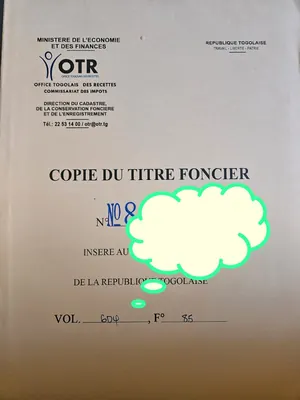 Vente d'un terrain à Sagbado Balissimé, demi-lot de 300 m² – 9 500 000 FCFA — photo 4