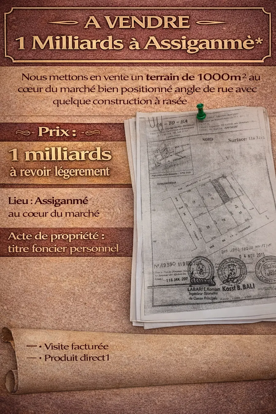 Terrain 1000 m² angle de rue à vendre à Assiganmé – 1 milliard FCFA