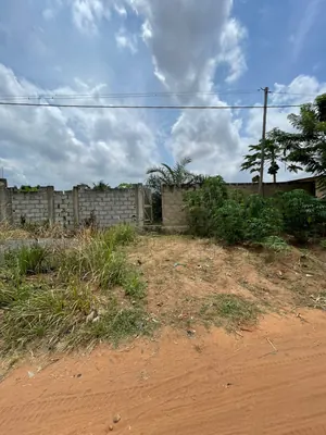Vente d'un terrain à Légbassito Assiko, demi-lot 300 m², clôturé, titre foncier personnel – 10 millions FCFA — photo 3