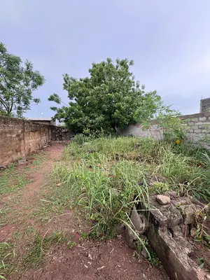 Terrain demi-lot clôturé en vente à Zanguera IPG – 14 millions FCFA — photo 3