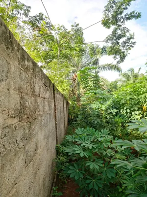 Vente d'un terrain à Légbassito, 911 m² (1,5 lot), à 120 m du goudron contournement – 45 millions FCFA — photo 5