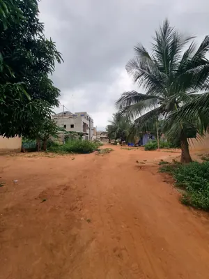 Terrain demi-lot clôturé à vendre à Ségbé Akato Catholique – 9 000 000 FCFA