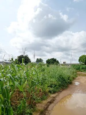 Terrain 3000 m² à vendre à Agoè Légbassito, 4 angles de rue – prix à partir de 30 millions FCFA le lot